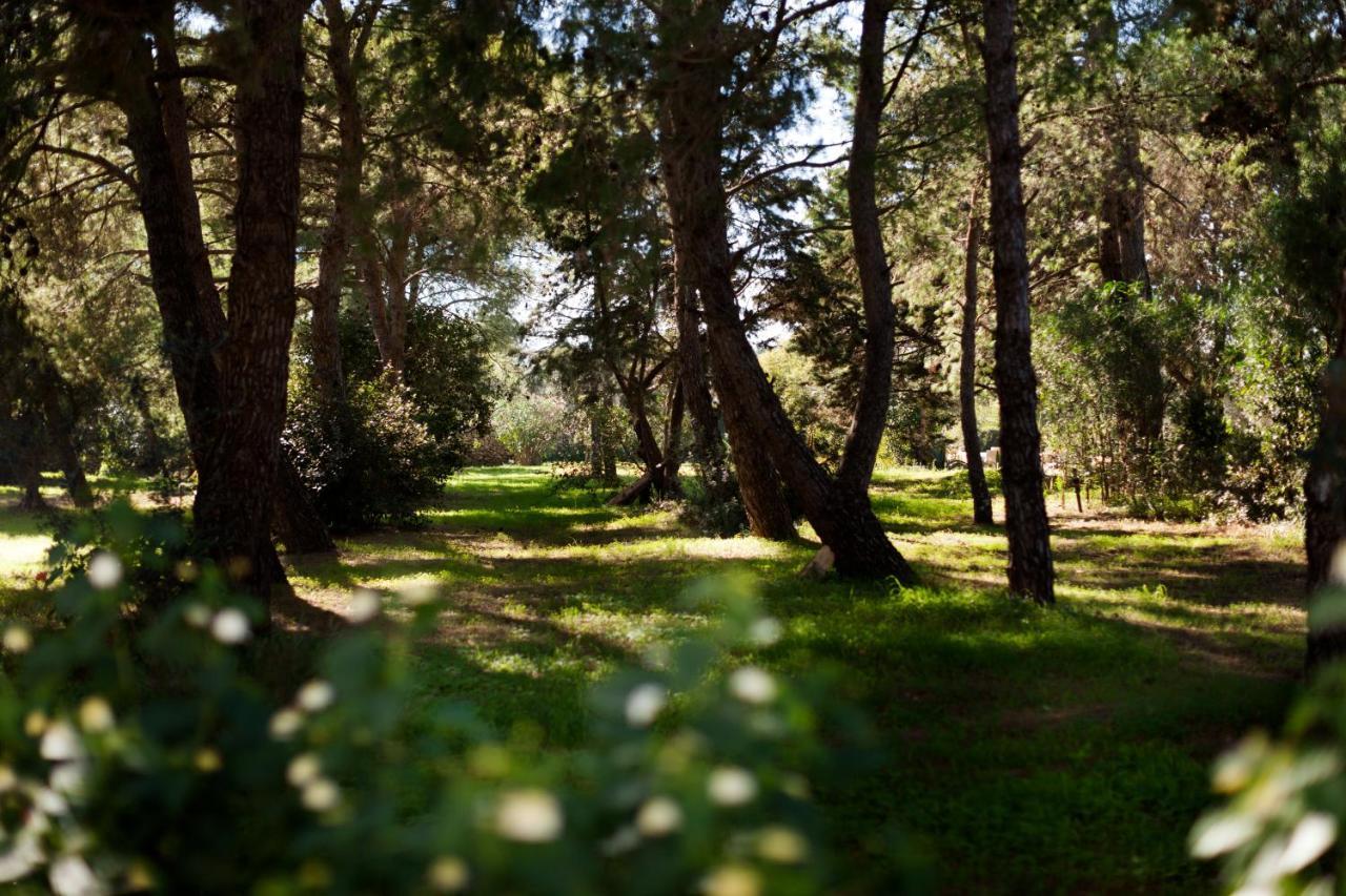 Masseria Borgo Mortella Lecce Dış mekan fotoğraf